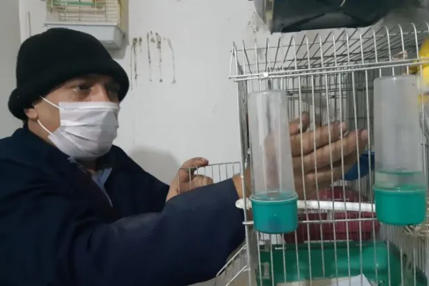 أحد مربّي الطيور السوريين في غازي عينتاب («الشرق الأوسط»)