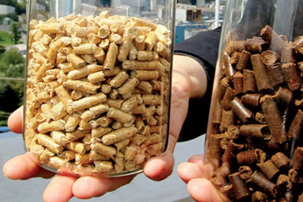 وقود حيوي «صديق للبيئة» من الفطر وبقايا الخشب