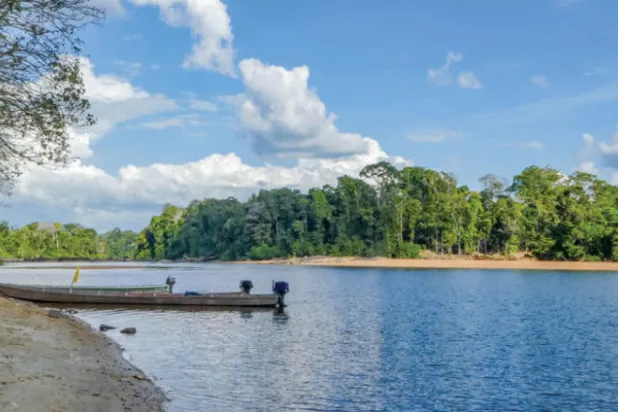 السورينام تودع شاعرها الأبرز ميشال سلوري