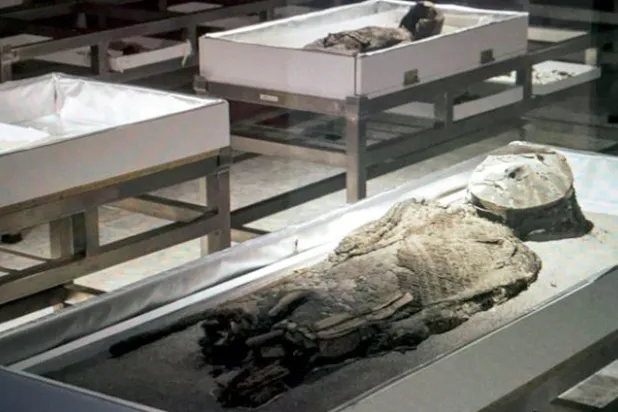 علماء الآثار يكشفون في تشيلي عن أقدم المومياوات في التاريخ