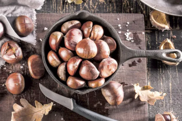 الكستناء... حلوى الشتاء السكرية