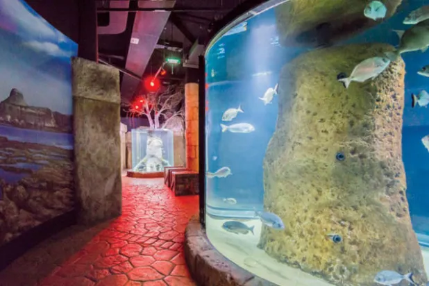 كنوز مالطا العائلية