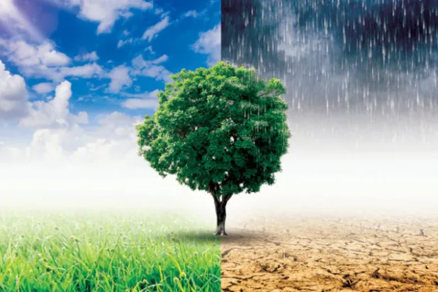 تغییرات اقلیمی در ایجاد نزاع‌ها و انقلاب‌ها نقش داشته‌اند 