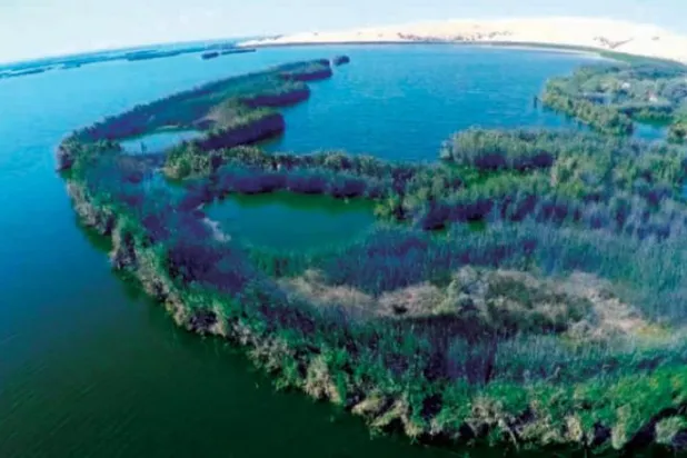 دریاچهٔ «الاصفر» سعودی تبدیل به منطقهٔ حفاظت‌شده می‌شود