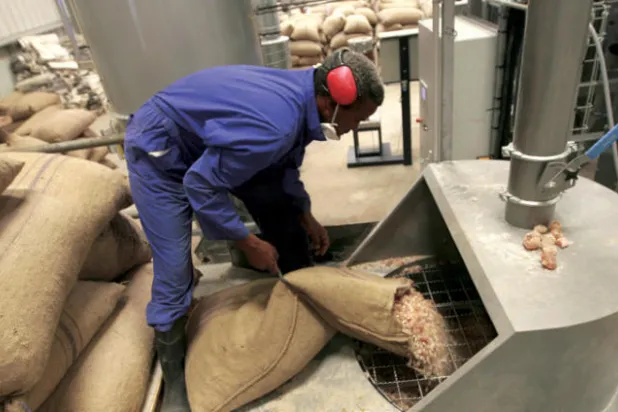 109 ملايين دولار عائدات السودان من الصمغ العربي في 2018