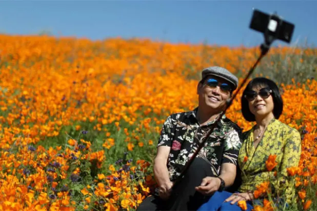 هجوم عشاق «السيلفي» على مدينة أميركية يعطل مرورها ويثير سخط السكان