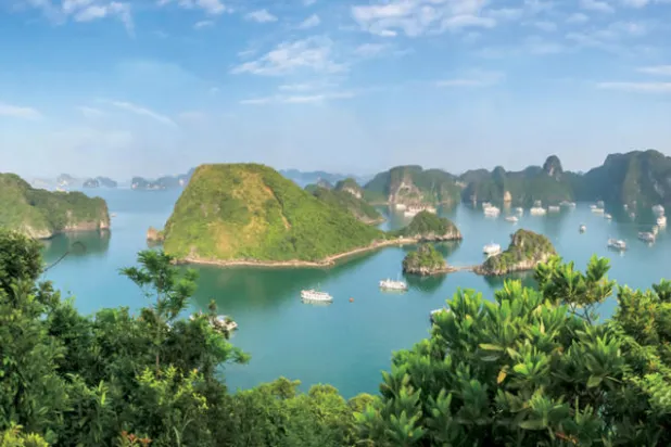 منظر خليج هالونغ الذي ترسو عليه اليخوت الفخمة