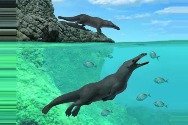 حوت برمائي بأربع أرجل عاش قبل 43 مليون سنة