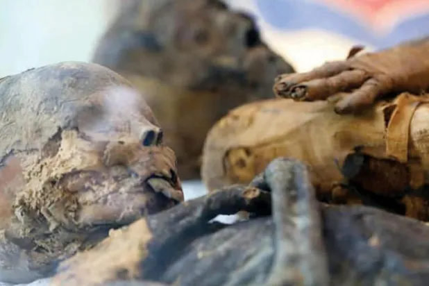 «البردي»... مهنة احترفتها المرأة في زمن الفراعنة