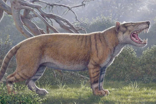 مفترسات عملاقة تتجول في كينيا قبل ملايين السنين