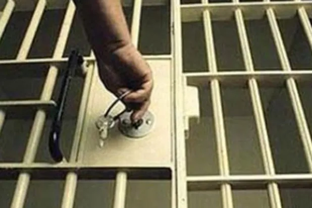 السجن لثلاثة بثوا مقطع فيديو عن قتل قرد في فيتنام