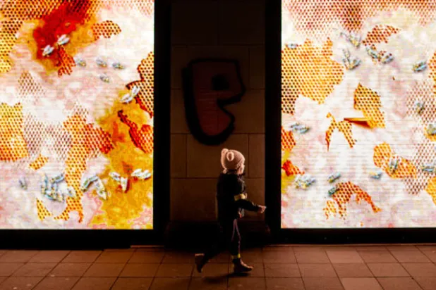 مهرجان الأضواء في رومانيا