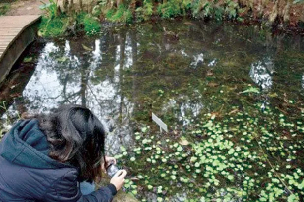 البيئة في مدارس المغرب وجامعاته