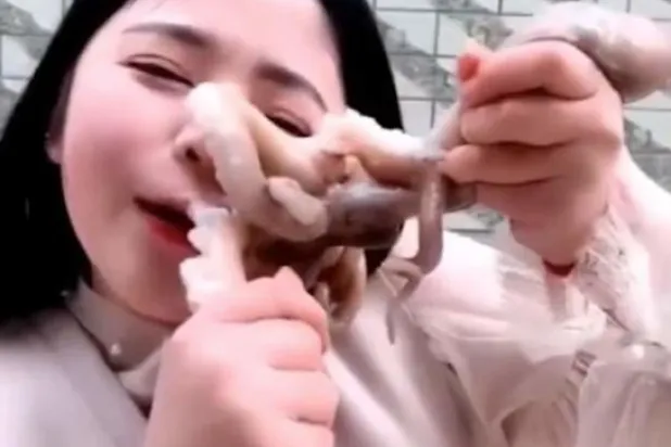 بالفيديو... أخطبوط يهاجم مدونة صينية حاولت أكله على الهواء