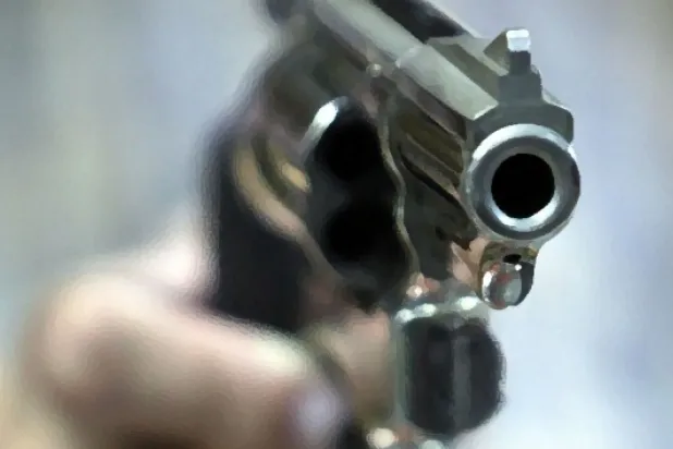 Mali'nin orta bölgesinde silahlı saldırı 4 ölü