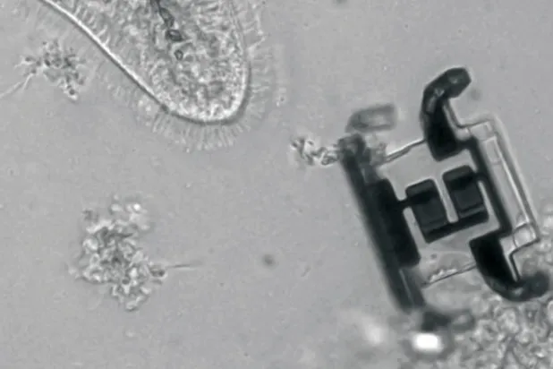 الميكروبوتات... تصاميم ثورية لأجهزة استشعار متناهية الصغر