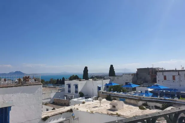 Yıl boyu büyüleyiciliğini kaybetmeyen Tunus kasabası: Sidi Bu Said