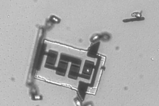 The Microbots Are on Their Way