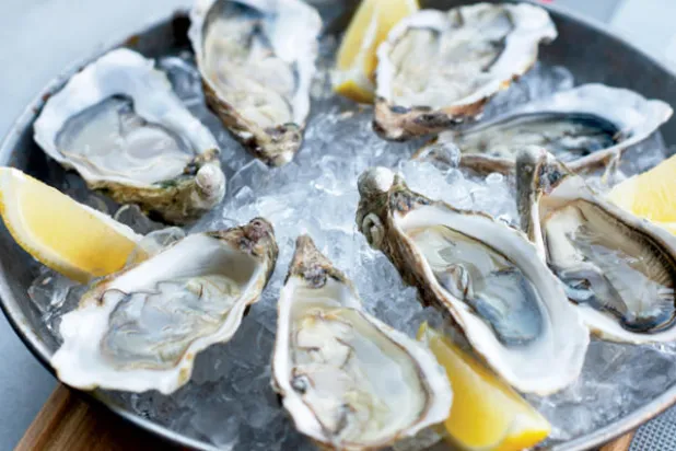 الأسماك الغنية بالزيوت غنية بالأوميغا 3... أفضل دواء