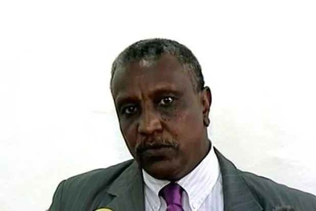 SPLM-N Başkan Yardımcısı: Sudan devrimi kazanacak