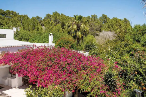 «إبيزا» أسعارها الأكثر ارتفاعاً عقارياً بين جزر إسبانيا خلال العقد الماضي