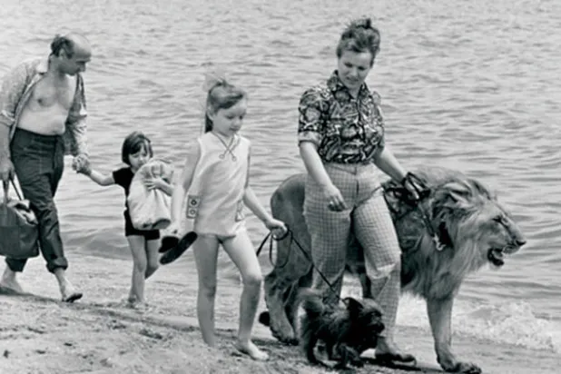 الأسد كينغ الذي هاجم مربيته وقتل ابنها بعد سنوات طويلة من الحياة في شقتهم