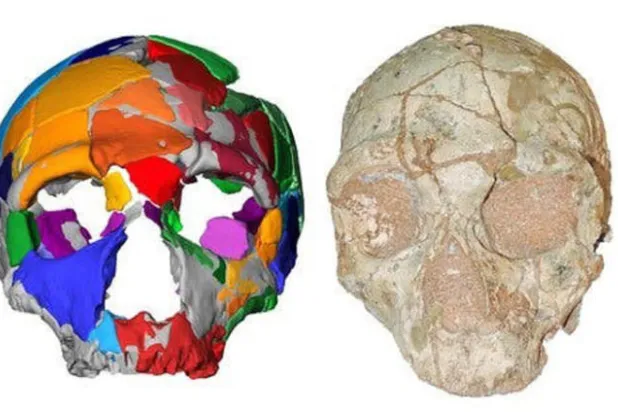 عظام جمجمة في اليونان قد تعيد كتابة التاريخ