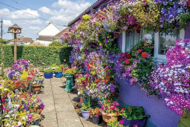 سلال من الزهور في الحديقة