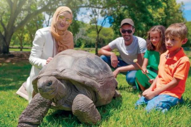 اللعب مع السلحفاة البالغة من العمر مئة عام