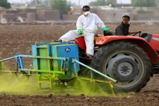 أسعار التقاوي والأسمدة تهدد موسم الزراعة الصيفي في السودان