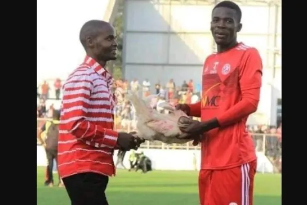 في مالاوي... «دجاجة» مكافأة لأفضل لاعب في المباراة