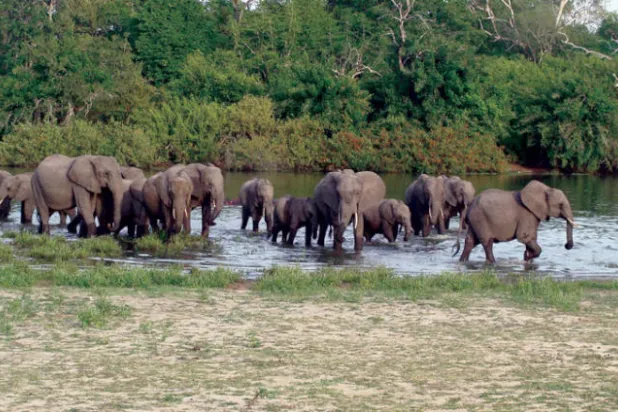 تنزانيا تغلق جزءاً من محمية للحد من صيد الطرائد