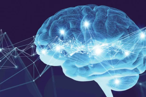 أدمغة الأشخاص «غزيري المعارف» تتميز بشبكات عصبية دقيقة