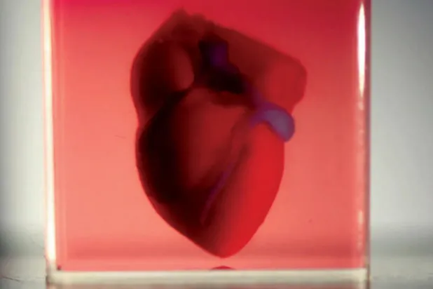 باحثون يصنعون نموذجاً لقلب إنسان باستخدام طابعة ثلاثية الأبعاد