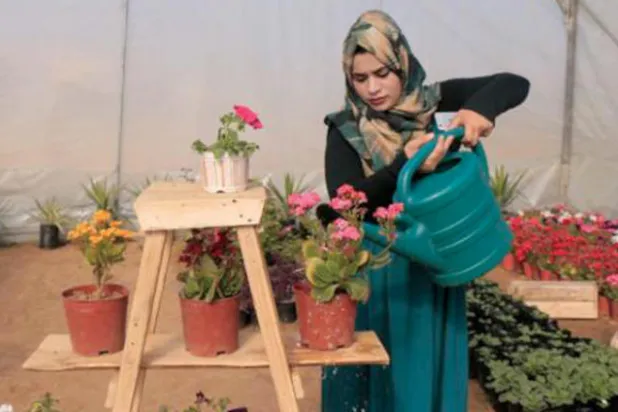 رواء تروي مزروعاتها داخل دفيئتها الزراعية