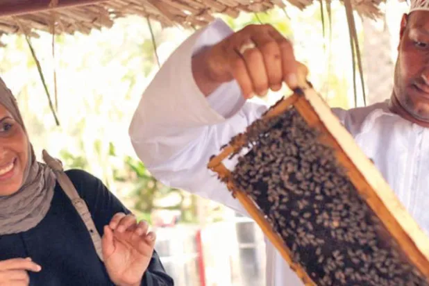 سلمى الحجري تجلب العسل من المزارع