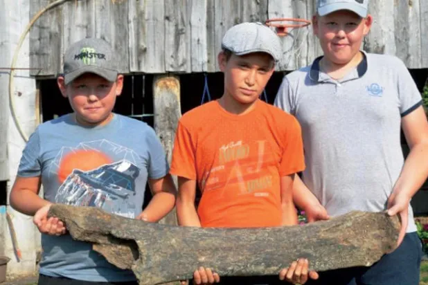 3 أطفال يعثرون صدفة على بقايا ماموث عمره أكثر من 10 آلاف عام