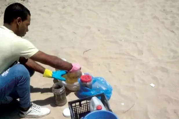 السلطات المصرية لفك لغز نفوق الأسماك بأحد شواطئ الإسكندرية