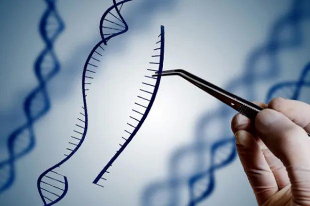 العلاج التصحيحي الجيني لفقر الدم المنجلي