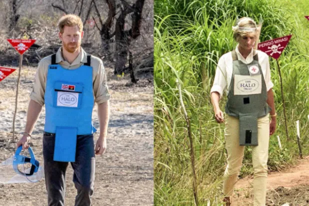 على خُطى والدته... الأمير هاري يزور مشروعاً لإزالة الألغام في أنغولا