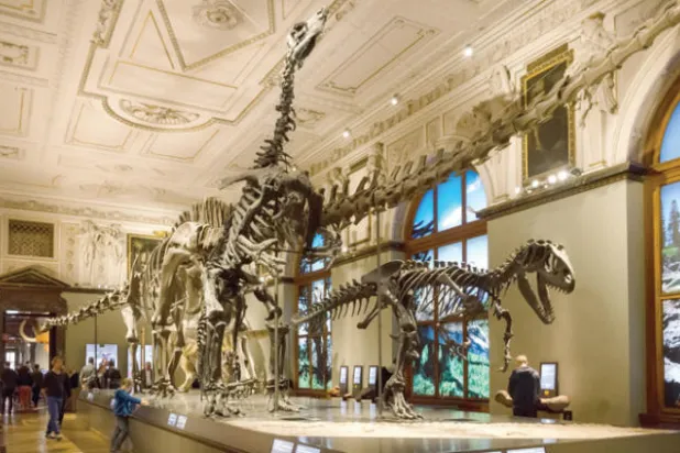 فيينا تفتح أبواب متاحفها ليلاً وتجذب الزوار بأسعار مخفضة