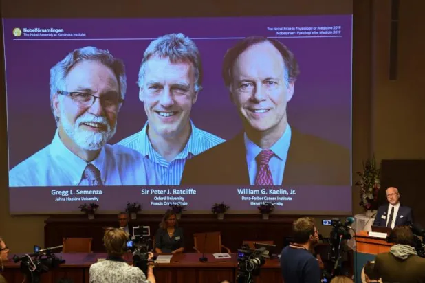 «نوبل» الطب لأميركيين وبريطاني اكتشفوا آليات تمهد لعلاج فقر الدم والسرطانات
