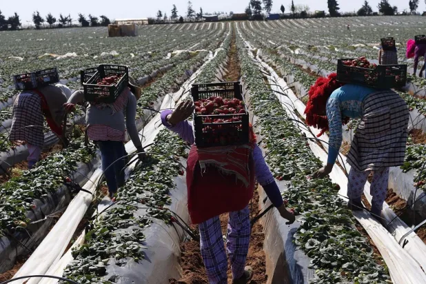 Morocco Higher Planning Commission Predicts Improvement in Economic Growth