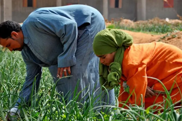 Akdeniz'de 250 milyondan fazla insan 20 yıl içinde 'susuzluk' çekecek