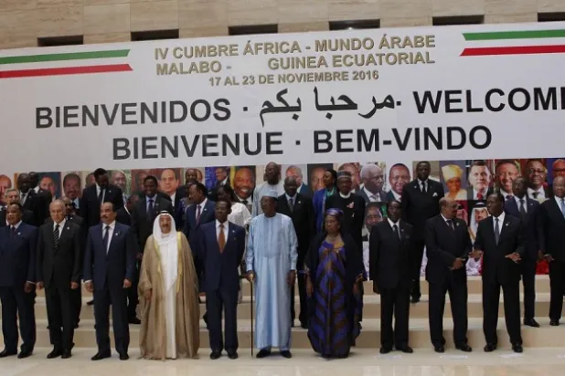 Arab-African Meeting Held in Cairo ahead of Riyadh Summit Next Month 