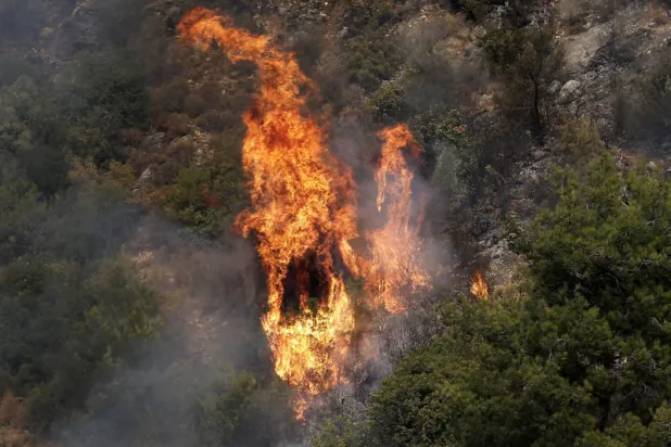 النيران المستعرة في إحدى غابات الدامور جنوب العاصمة بيروت (أ.ف.ب)