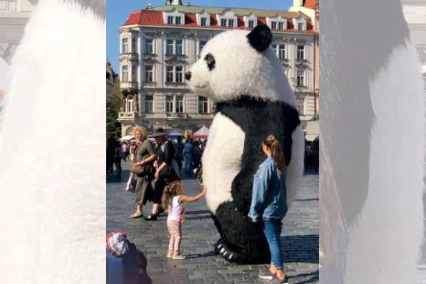 براغ تحظر أزياء الباندا التنكرية والفقاعات العملاقة