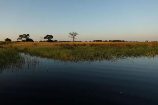 دراسة جديدة تكشف عن مهد البشرية على الأرض