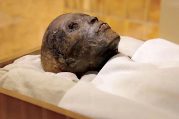 علماء المصريات يقررون مصير مومياء توت في مؤتمر دولي