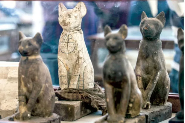 تماثيل لقطط من بين التماثيل التي عثر عليها (ا ف ب)